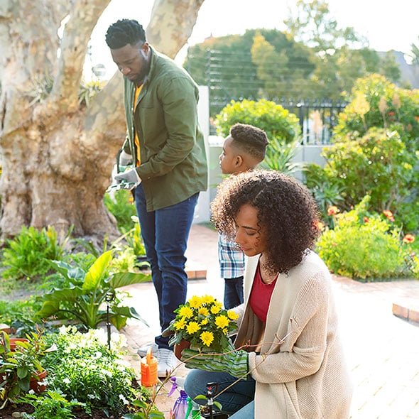 Gardening-at-home