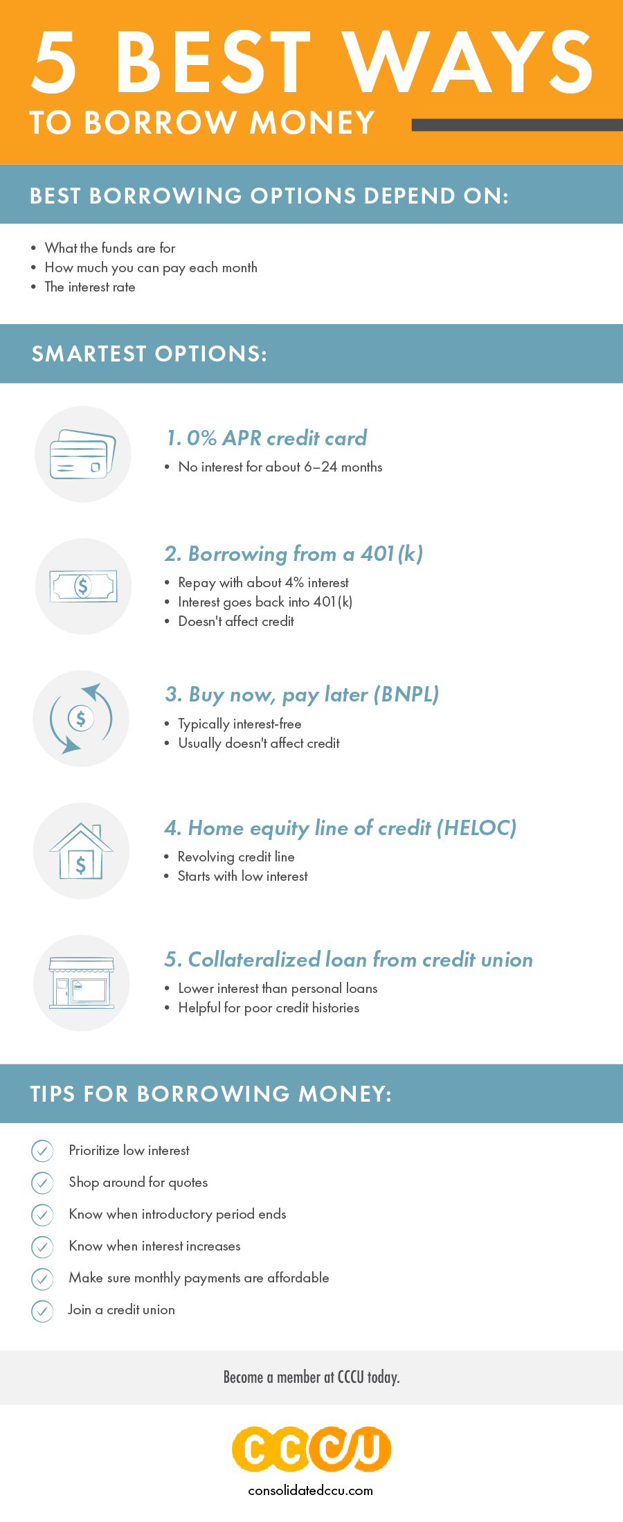 Inforgraphic: 5 best ways to borrow money. 