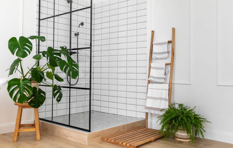 renovated white bathroom with walk in shower and monstera plant