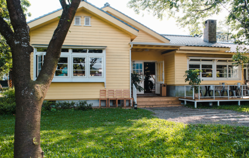 this charming yellow house has a green yard and a tree in front